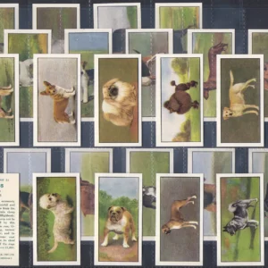 AZ2/8 BARBERS (tea) Dogs 1961 Full card set