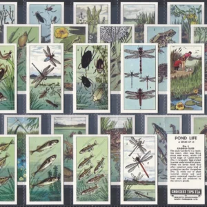 AZ2/12 Pond Life Bishops Stortford Dairy (Tea) 1966 Full card set