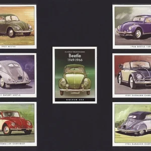 C77 Volkswagen Beetle 1949-66 Modern Collectors Card Set  (7)  ( 1. 1949 Hebmuller Cabriolet, 2. 1951 Export Saloon (Split Window), 3. 1953 Export Saloon (Oval Window), 4. 1954 Karmann Cabriolet, 5. 1959 Karmann Cabriolet, 6. 1966 1500cc. )