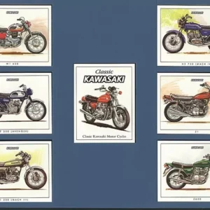 C84 Classic Kawasaki Modern Collectors Card Set (7) G-era ( Kawasaki W1 650, Kawasaki A7 350 (Avenger), Kawasaki Hi 500 (Mach III), Kawasaki H2 750 (Mach IV), Kawasaki Z1, Kawasaki Z650. )