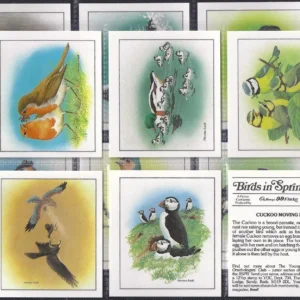 AZ2/19 CADBURY- BIRDS IN SPRINGTIME Full card set 1983