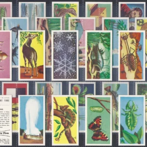 AZ2/28 coopers (tea) strange but true 1st 1961 full card set