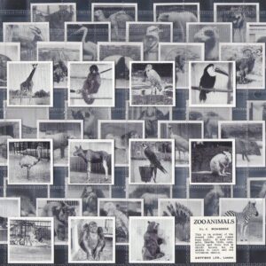 AZ2/26 1955 Dryfood Zoo Animals 1955 full card set