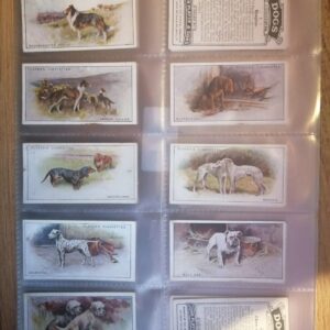 AZ1/C19 Dogs (scenic backgrounds) 1924 John Player & sons Full Cigarette card set