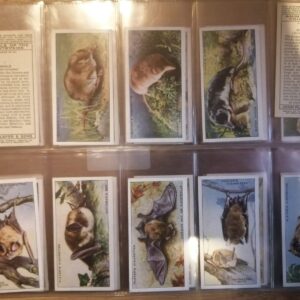 AZ1/C23 Animals of the countryside 1939 John Player & sons Full Cigarette card set