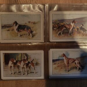 AZ1/C33 Dogs Scenic background ( X large) 1924 Players Full Cigarette card set