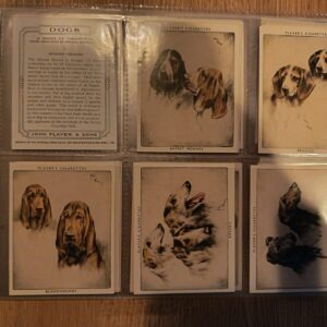 AZ1/C34 Dogs Pairs & Groups by Arthur Wardle (large) 1955 Players Full Cigarette card set