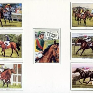 RJ1 Racehorses & Jockeys Modern Collectors Card Set  (7) G-era ( 1. Green Desert - W. Swinburn, 2. Nijinsky - L. Piggott, 3. Ardross - L. Piggott, 4. Dancing Brave - Pat Eddery, 5. Secreto/El Gran Senor - C. Roche/P. Eddery, 6. Chief Singer - R. Cochrane, Title card - L. Piggott. )