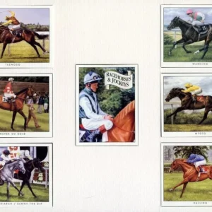 RJ2 Racehorses & Jockeys 2nd series Modern Collectors Card Set (7) G-era ( 1. Teenoso - L. Piggott, 2. Warning - P. Eddery, 3. Never So Bold - S. Cauthen, 4. Mtoto - M. Roberts, 5. Silver Patriarch/Benny the Dip - P. Eddery/ W. Ryan, 6. Halling F. Dettori, Title card - P. Eddery. )