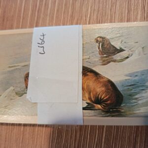AZ1/W64 British Mammals John Player & sons / Doncella Full Cigarette card set