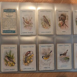AZ1/C56 British Birds 1923 Gallaher Ltd Full Cigarette card set