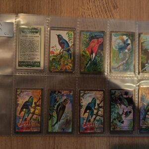 AZ1/C59 Foreign Birds 1926 Cavanders Ltd Full Cigarette card set