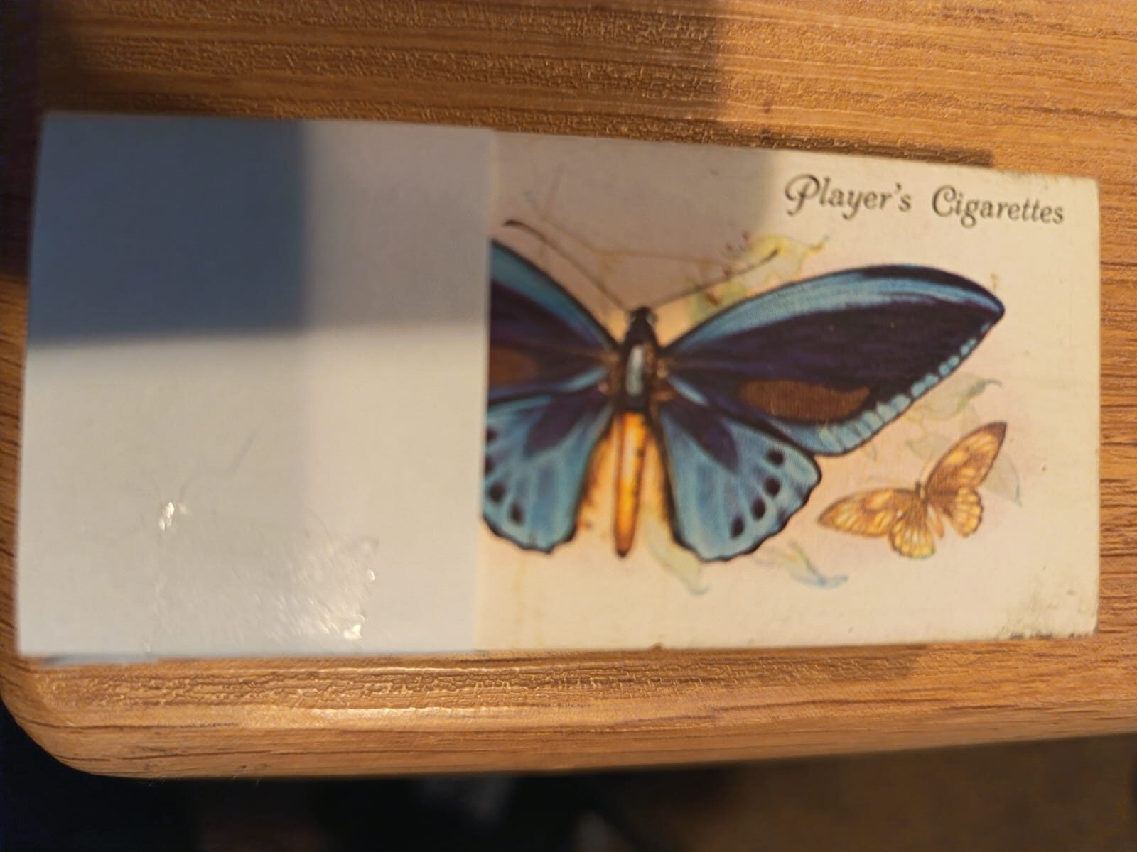 AZ1/C69 Butterflies 1932 John Players & sons Full Cigarette card set