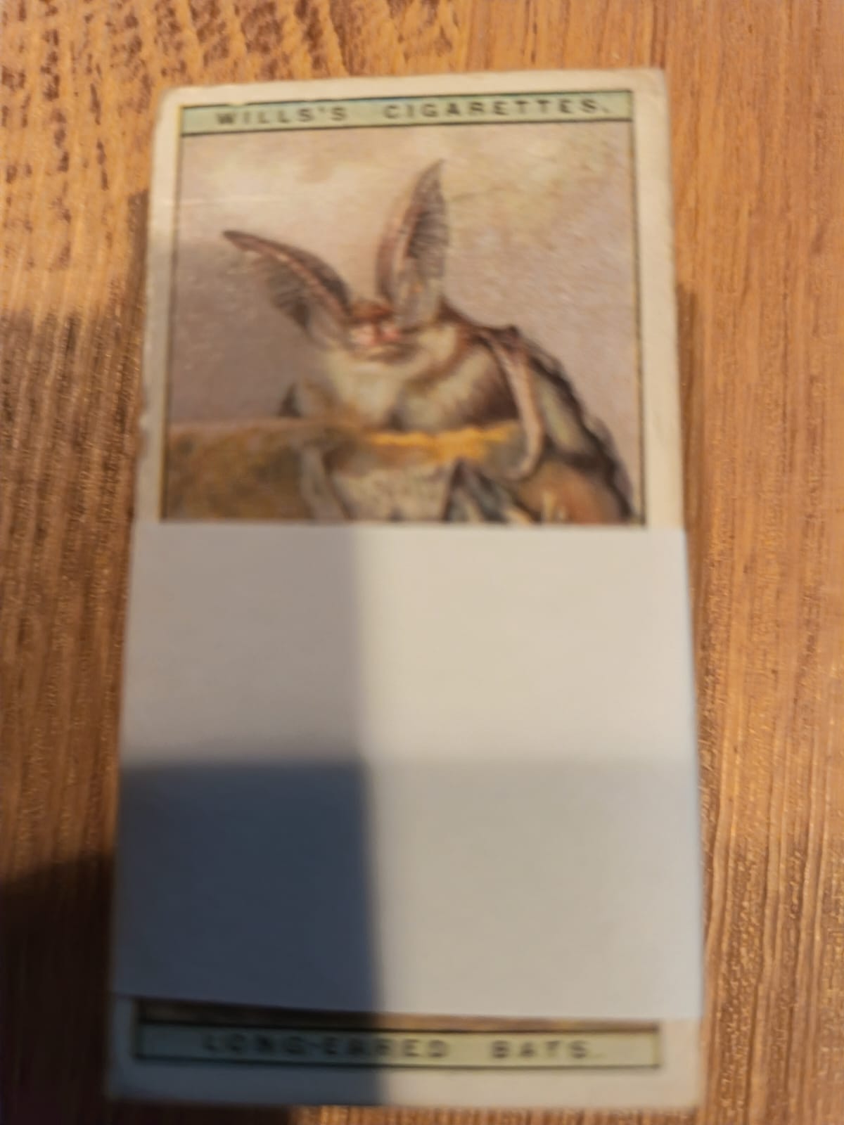 AZ1/C73 Life in the tree tops 1925 WD & HO Wills Full Cigarette card set