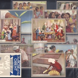 AZ2/64 English & Scottish CWS- Rose of the Orient 1ST 1937 Modern Collectors Card Set