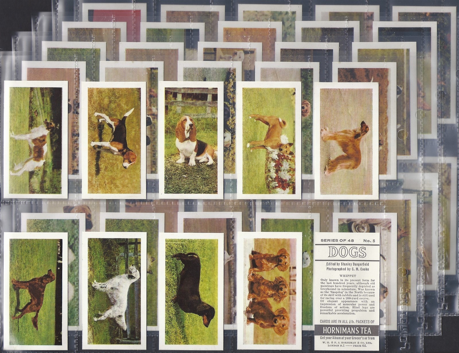 AZ2/44 Horniman's Tea DOGS 1961 Full card set
