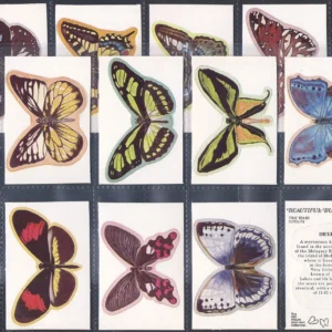 AZ2/72 Lyonsmaid Beautiful butterflies 1974 Modern Collectors Card Set