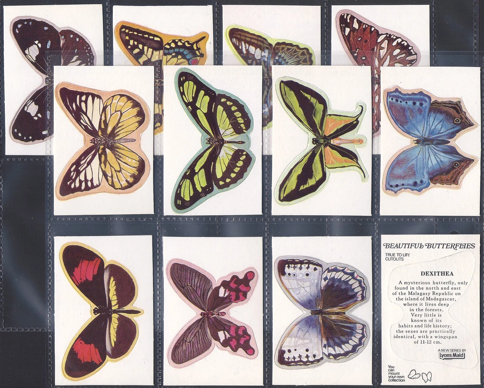 AZ2/72 Lyonsmaid Beautiful butterflies 1974 Modern Collectors Card Set