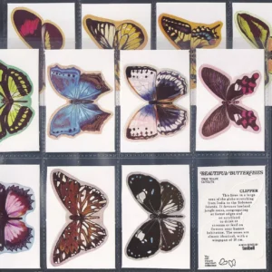 AZ2/73 Tonibell Beautiful butterflies 1977 Modern Collectors Card Set