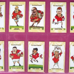 AZ2/80 Daily telegraph Rugby Wales 1995 Modern Collectors Card Set