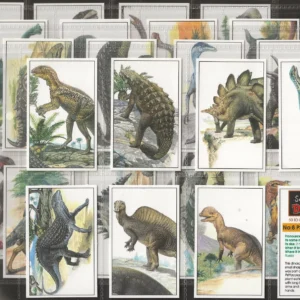 AZ2/68 jacobs school of dinosaurs 1994 Modern Collectors Card Set