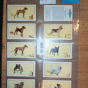 AZ3/13 Dogs Gallaher 1934 - Full Cigarette card set