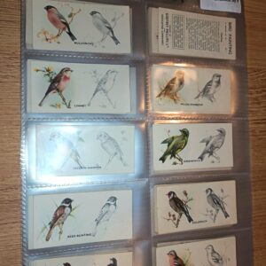 AZ3/59 Bird Painting Godfrey Phillips Ltd. - 1938 Full Cigarette card set