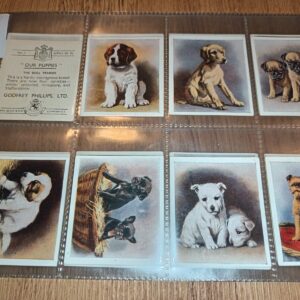 AZ3/62 Our Puppies (medium size) Godfrey Phillips Ltd. - 1936 Full Cigarette card set
