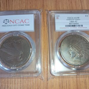 AZ3/101 1x coin encapsulated in a Hard plastic case - NAGA AU58 American Indian L&M-42