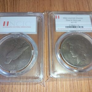 AZ3/102 1x coin encapsulated in a Hard plastic case - 1922 United States Peace Dollar AU-55