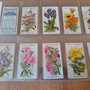 AZ3/111 Old English Garden flowers 2nd series W.D & H.O Wills - 1913 Full Cigarette card set